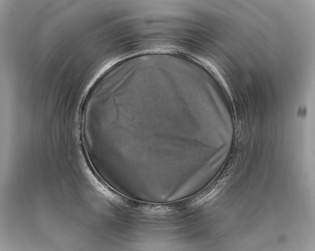 X0000089920851200707201816