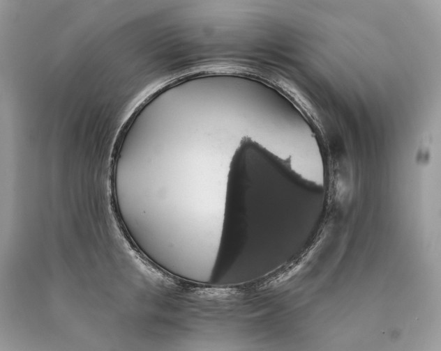 X0000089920853200707201816