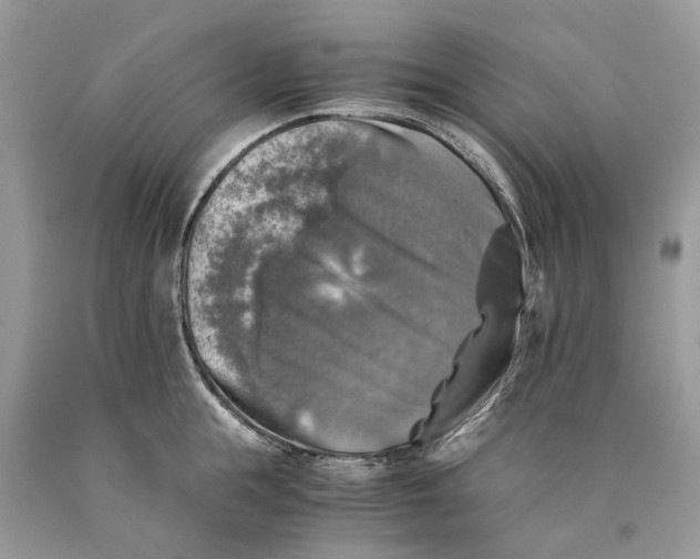 X0000089920855200707201817