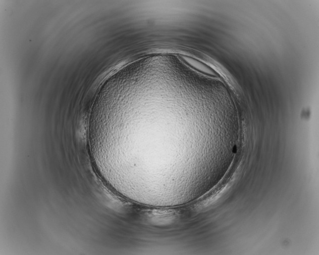 X0000089920857200707201817