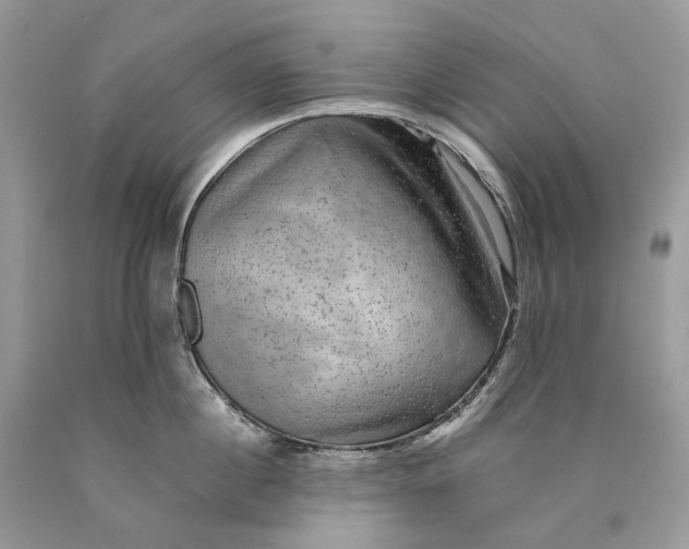 X0000089920860200707201817