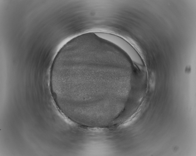 X0000089920862200707201817