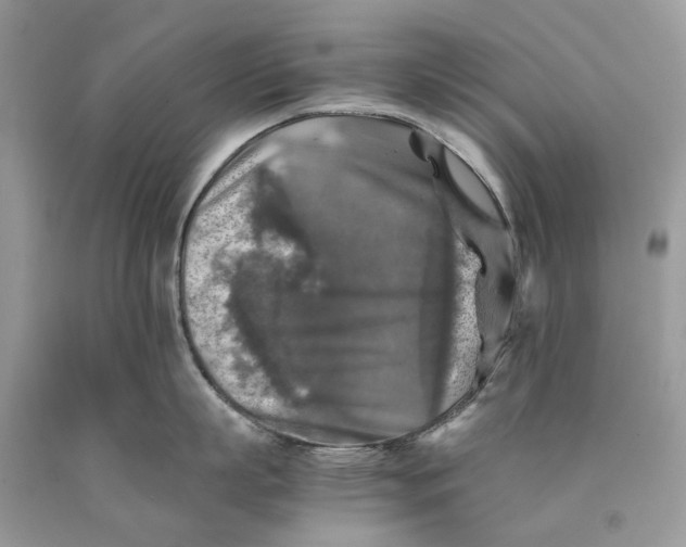 X0000089920863200707201817