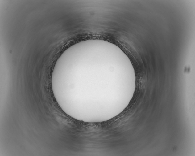 X0000089920865200707201816