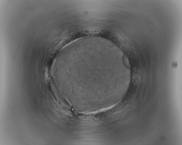 X0000089920866200707201816