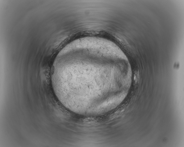 X0000089920867200707201816