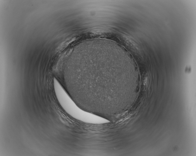 X0000089920868200707201816