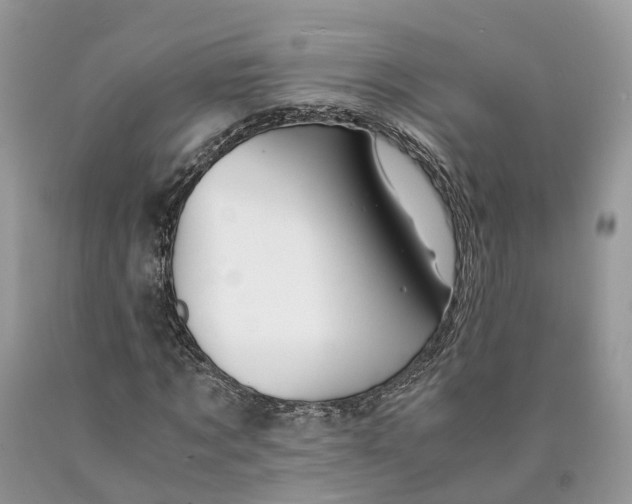 X0000089920869200707201816