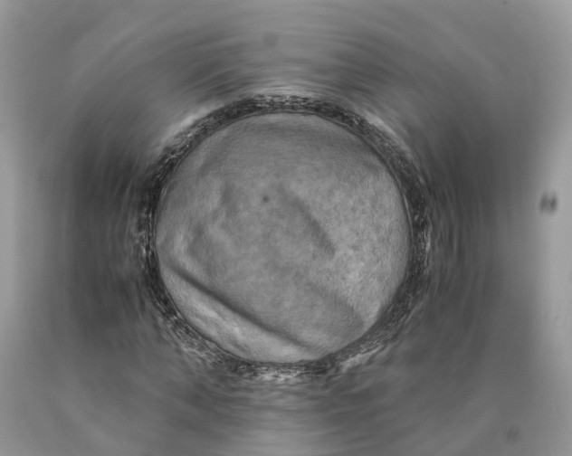 X0000089920870200707201816