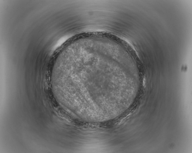 X0000089920871200707201816