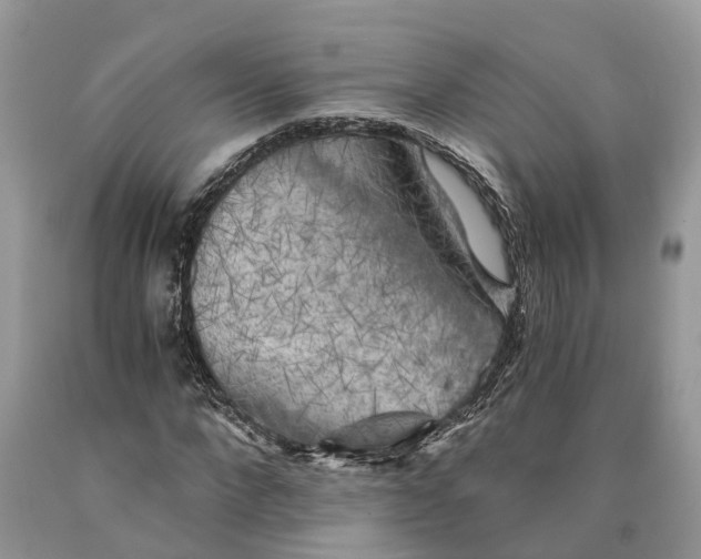 X0000089920872200707201816