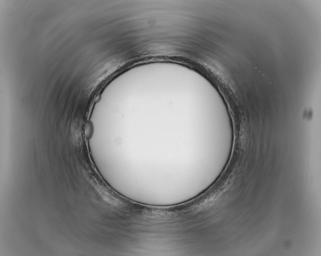 X0000089920873200707201816