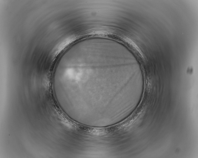 X0000089920874200707201816