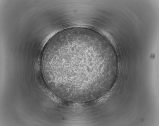 X0000089920875200707201816