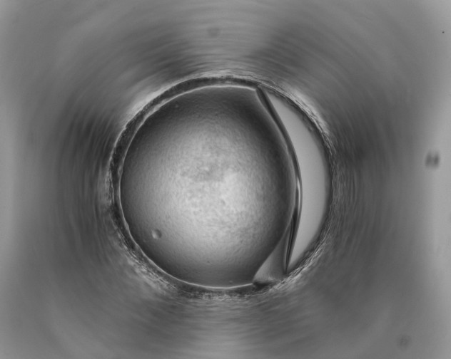 X0000089920876200707201816