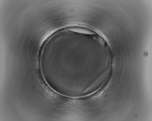 X0000089920877200707201816