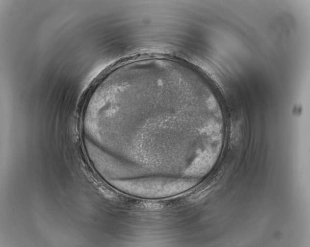 X0000089920878200707201816