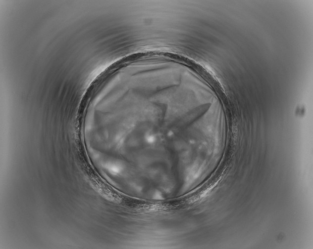 X0000089920879200707201816