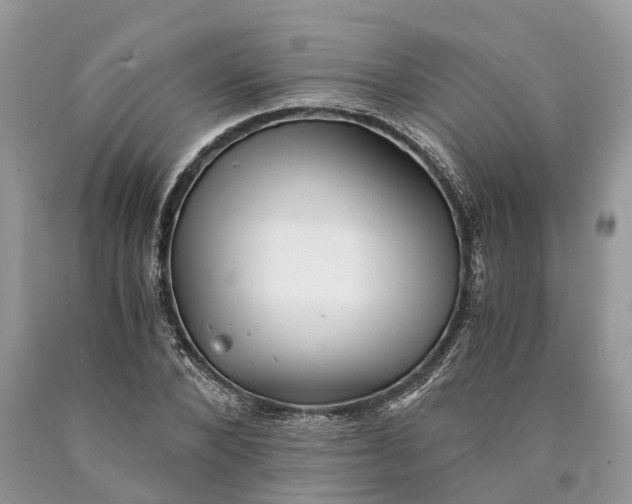 X0000089920880200707201816