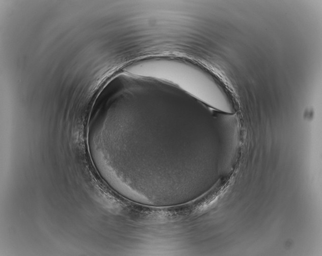 X0000089920881200707201816