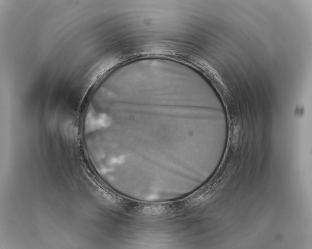 X0000089920882200707201816