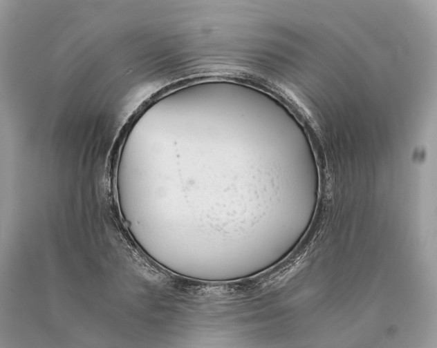 X0000089920883200707201816