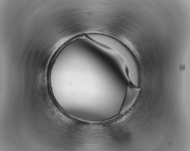 X0000089920884200707201816