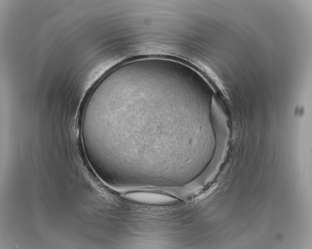 X0000089920885200707201816