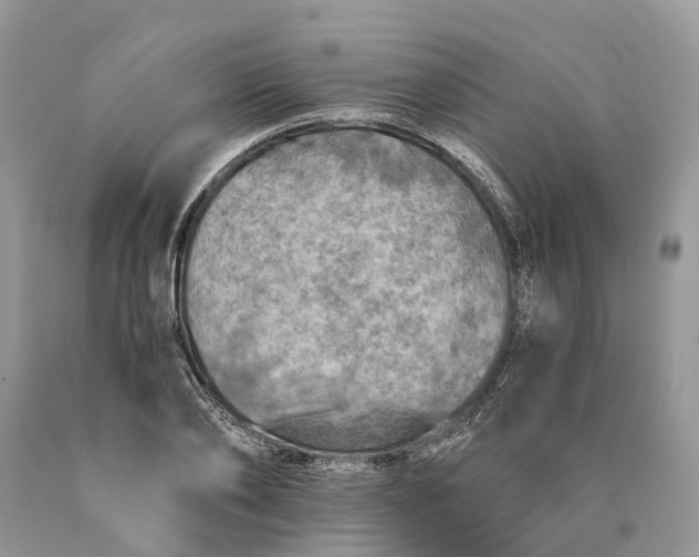 X0000089920886200707201816