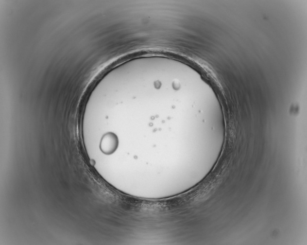 X0000089920887200707201816