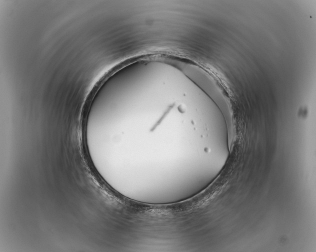 X0000089920888200707201816