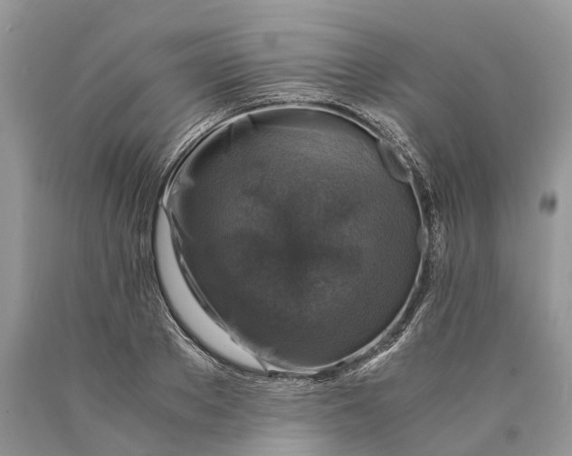 X0000089920889200707201816