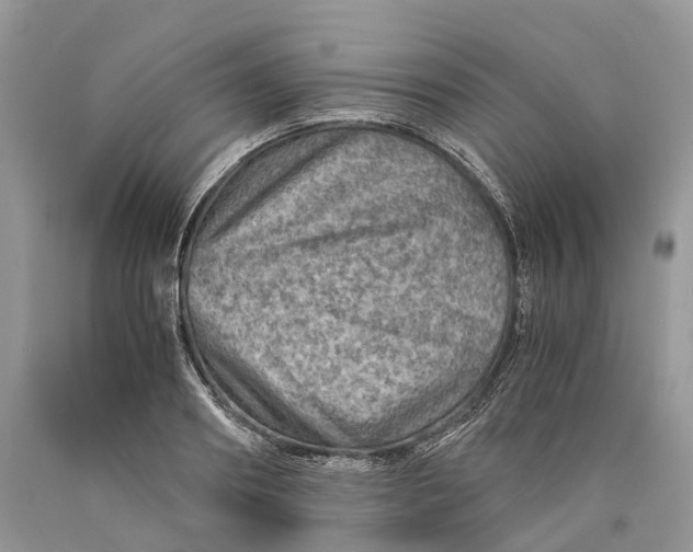 X0000089920890200707201816