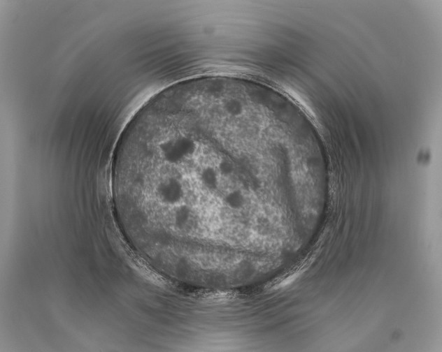 X0000089920891200707201816