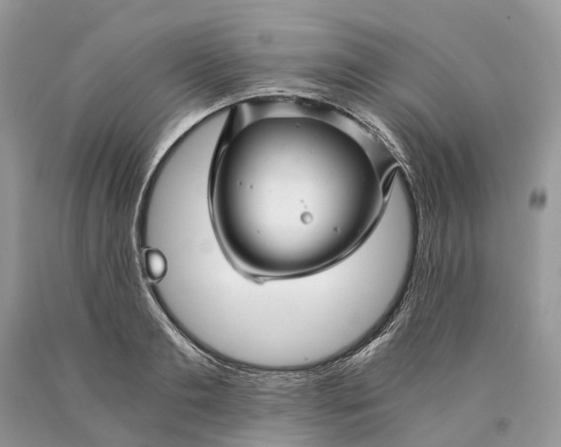 X0000089920893200707201816