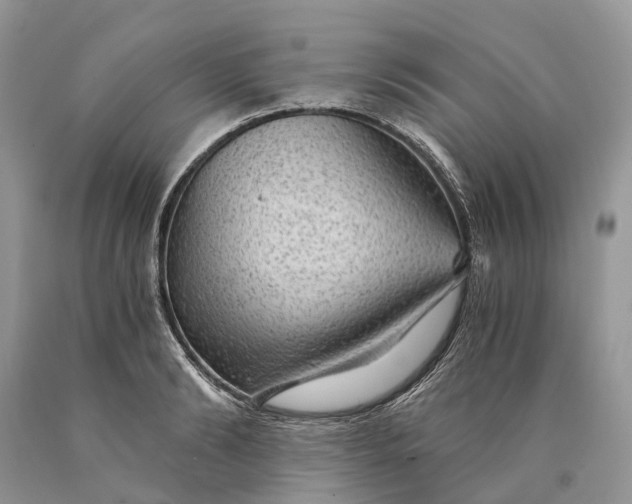 X0000089920894200707201816