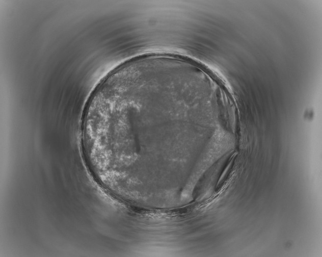 X0000089920895200707201816