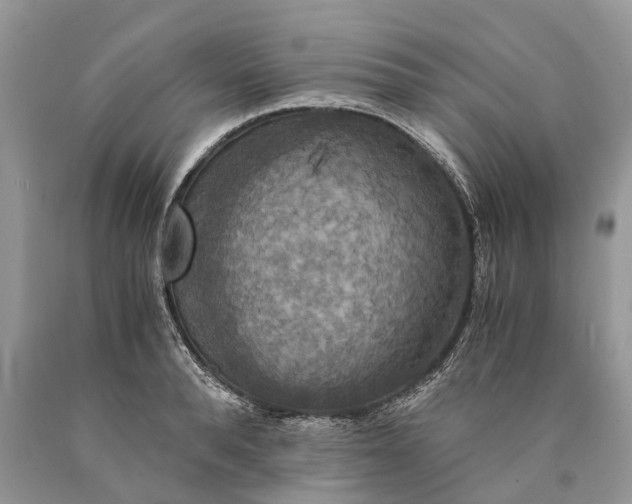 X0000089920896200707201816