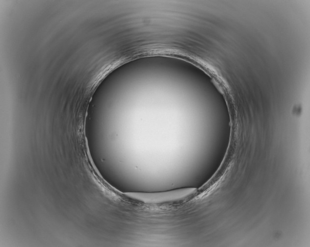 X0000089920897200707201816