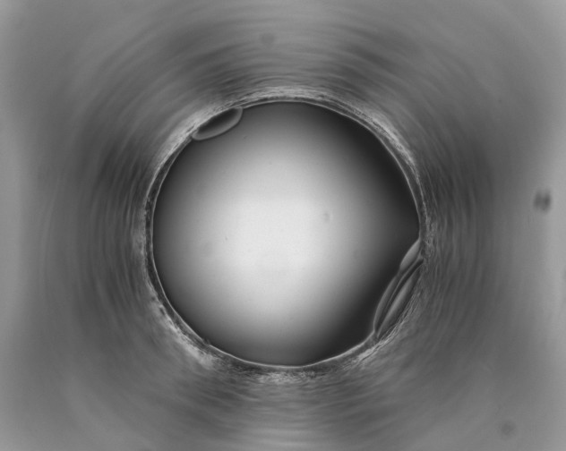 X0000089920898200707201815