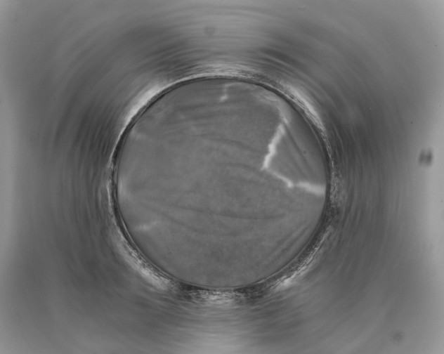 X0000089920899200707201815