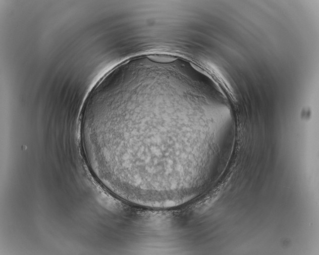 X0000089920900200707201815