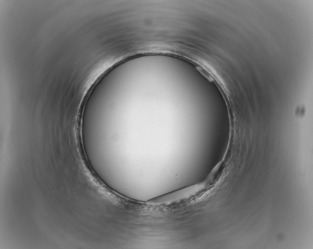 X0000089920901200707201815