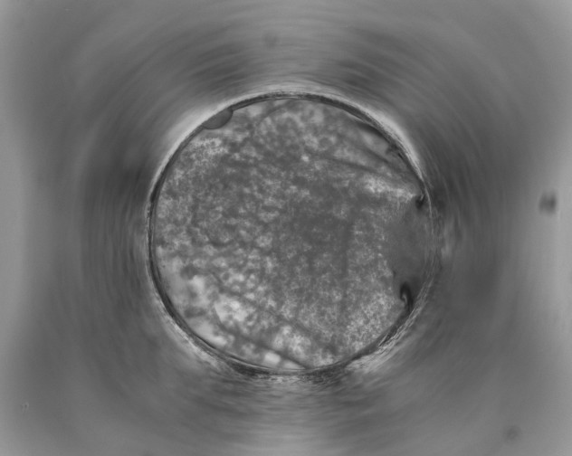 X0000089920903200707201815