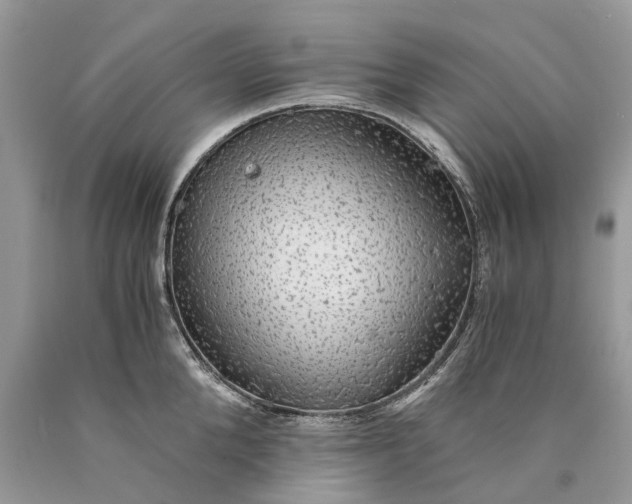 X0000089920904200707201815