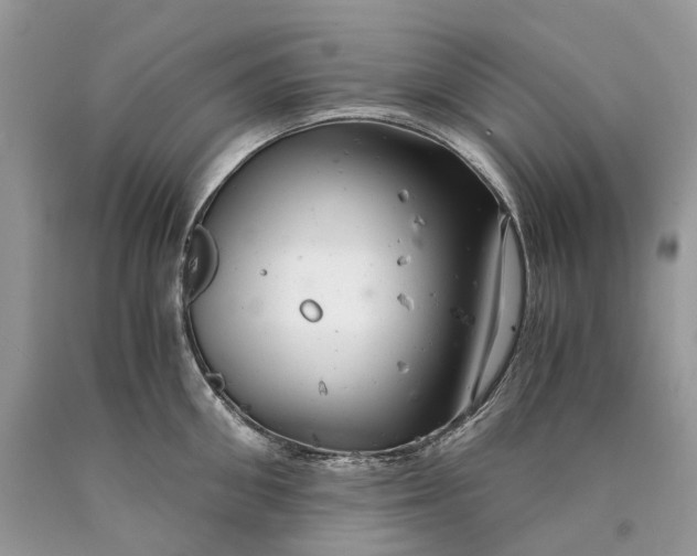 X0000089920906200707201815