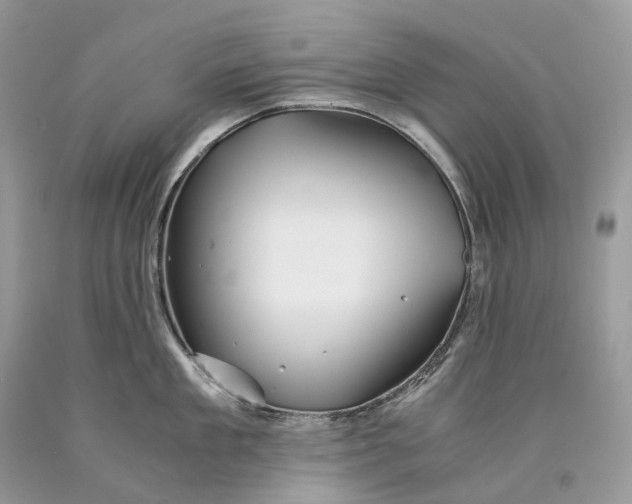 X0000089920909200707201815