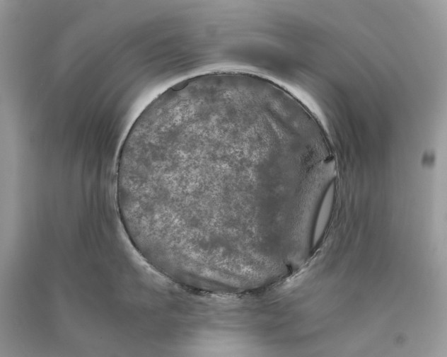 X0000089920911200707201815