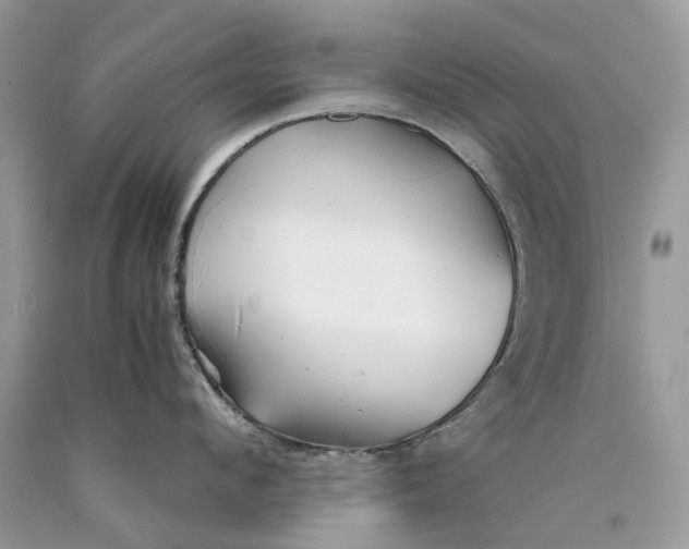 X0000089920912200707201815