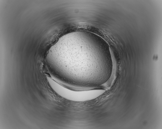 X0000089920916200707201815